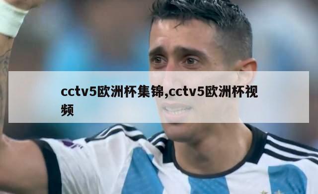 cctv5欧洲杯集锦,cctv5欧洲杯视频