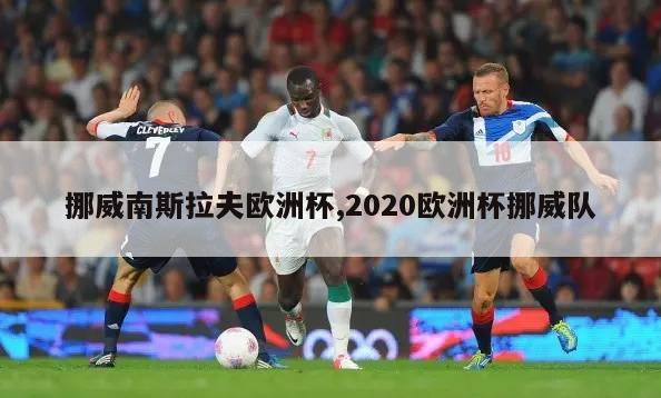 挪威南斯拉夫欧洲杯,2020欧洲杯挪威队