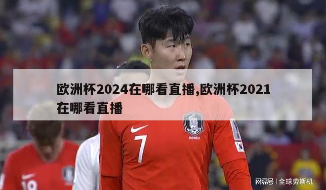 欧洲杯2024在哪看直播,欧洲杯2021在哪看直播