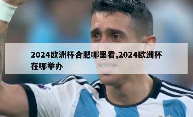 2024欧洲杯合肥哪里看,2024欧洲杯在哪举办