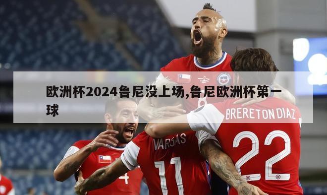 欧洲杯2024鲁尼没上场,鲁尼欧洲杯第一球